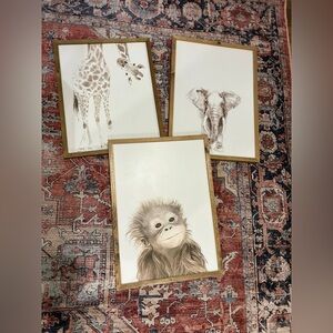 Animal Art Prints with Wooden Frames